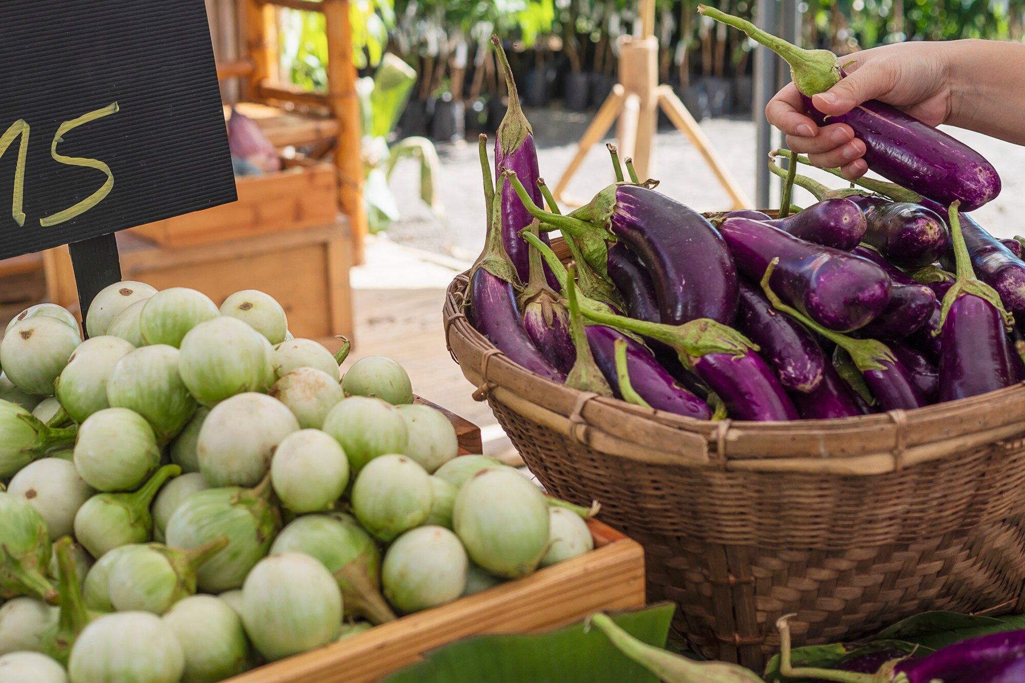 Sayuran segar yang dijual di pasar tradisional